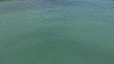 Aerial view of the ocean and a forested coast in Daintree National Park