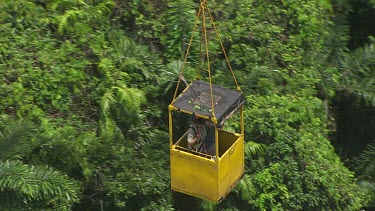 Travelling in a canopy crane over dense forest in Daintree National Park