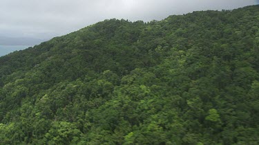 Aerial view of forested mountains in Daintree National Park