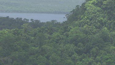 Aerial view of forested coast in Daintree National Park