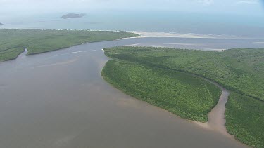 Aerial view of forested coast in Daintree National Park