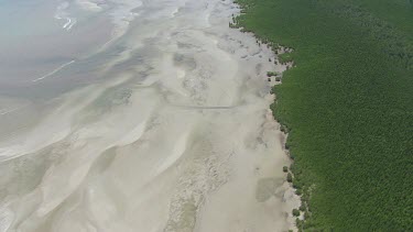 Aerial view of the ocean and a forested coast in Daintree National Park