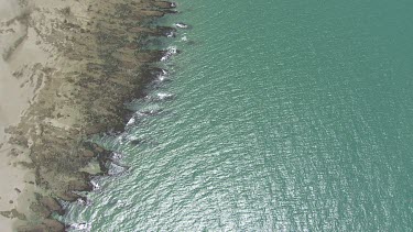 Sandy beach on the ocean in Daintree National Park