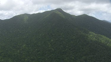 Forested mountains on the coast in Daintree National park