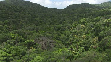 Forested mountain peaks in Daintree National Park