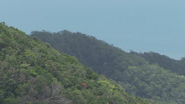 Forested mountain peaks in Daintree National Park