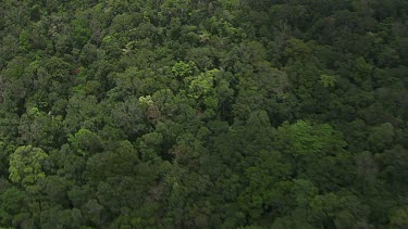 Forested mountains on the coast in Daintree National Park