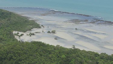 Aerial view of the beach and forested coast in Daintree National Park