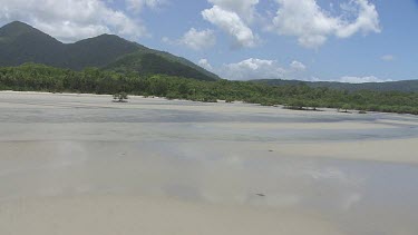 Aerial view of the beach and forested coast in Daintree National Park