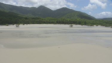 Aerial view of the beach and forested coast in Daintree National Park