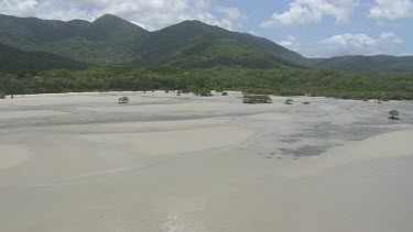 Aerial view of the beach and forested coast in Daintree National Park