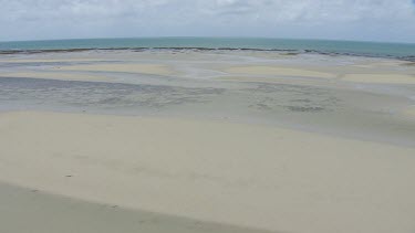 Aerial view of the beach and forested coast in Daintree National Park