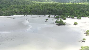 Aerial view of the beach and forested coast in Daintree National Park