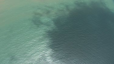 Aerial view of the beach and forested coast in Daintree National Park