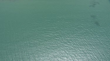 Aerial view of the beach and forested coast in Daintree National Park