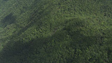 Forested mountain peaks in Daintree National Park