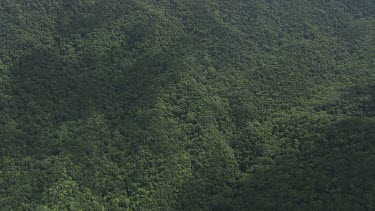 Forested mountain peaks in Daintree National Park