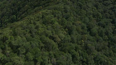 Forested mountain peaks in Daintree National Park