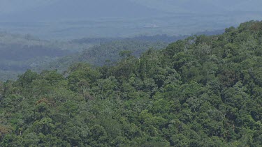 Forested mountain peaks in Daintree National Park