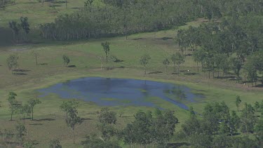 Small pond in a forest clearing in Daintree National Park