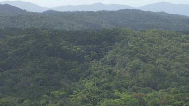 Forested mountain peaks in Daintree National Park