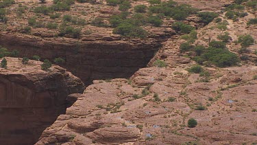 King's Canyon in the desert with sparse scrub
