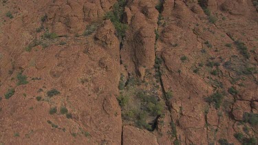 King's Canyon in the desert with sparse scrub
