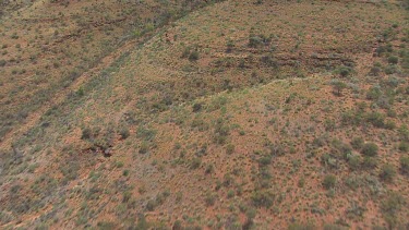 King's Canyon in the desert with sparse scrub