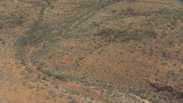 King's Canyon in the desert with sparse scrub