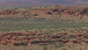 Desert vegetation in King's Canyon