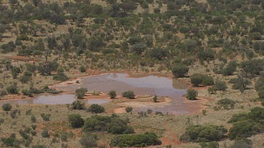 Shallow pond ringed by desert vegetation in King's Canyon