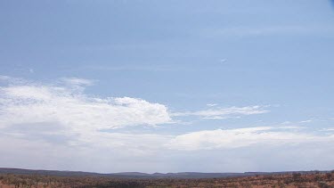 Blue sky over desert vegetation in King's Canyon