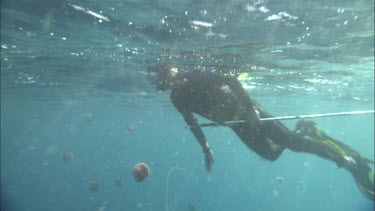 Diver with equipment diving in jellyfish swarm water