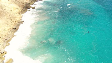 Aerial View of Shark Bay - Whale Shark Swimming