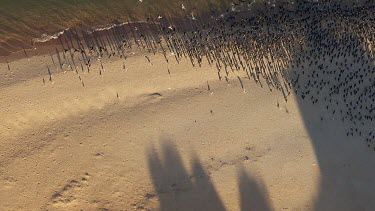 Aerial View of Francois Peron National Park Landscape