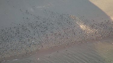 Aerial View of Francois Peron National Park Landscape