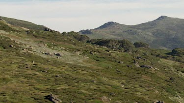 Aerial of Kosciuszko National Park - Vast Mountain Ranges Landcape