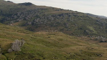 Aerial of Kosciuszko National Park - Vast Mountain Ranges Landcape