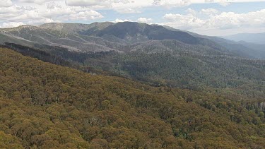 Aerial of Kosciuszko National Park - Dense forest and mountain landscape