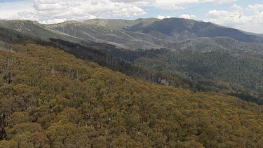 Aerial of Kosciuszko National Park - Dense forest and mountain landscape