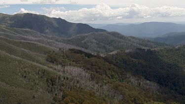 Aerial of Kosciuszko National Park - Dense forest and mountain landscape