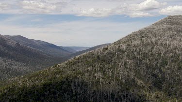 Aerial of Kosciuszko National Park -   Forest and mountain landscape
