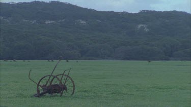 Kangaroo hopping over grass paddock, old plough in FG