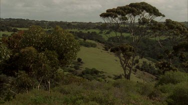 Grazing land woodland and heath Kangaroo Is