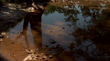 Creek tilt up to river red gum