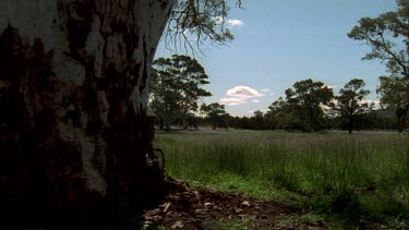 Old huts, tracking shot