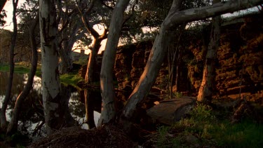 Red gums, billabong and stone ruins of house