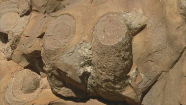 stromatolites cu