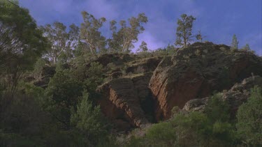 looking up cliff face vegetated