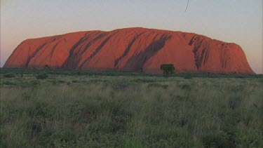 time lapse Uluru surface showing undulating rock and light and shade tree and some vegetation in foreground small hair in top of frame